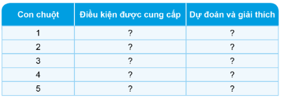 Dự đoán điều gì sẽ xảy ra với mỗi con chuột trong những hình trên và giải thích theo gợi ý sau.