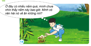 Em sẽ làm gì trong tình huống dưới đây.