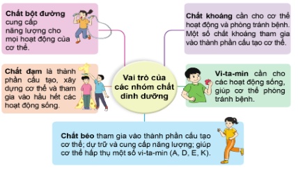 Quan sát: Nêu vai trò của các nhóm chất dinh dưỡng đối với cơ thể. 