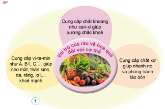 Quan sát: Trình bày về sự cần thiết phải ăn đủ rau và hoa quả mỗi ngày.