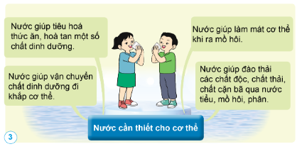 Tại sao chúng ta phải uống đủ nước mỗi ngày?