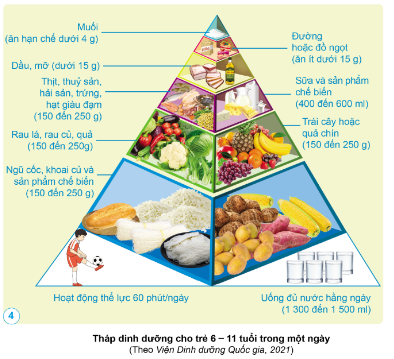Quan sát: Dựa vào hình 4, nêu tên các nhóm thực phẩm cần thiết cho trẻ 6 - 11 tuổi trong một ngày. Trong đó, thực phẩm nào nên ăn hạn chế, thực phẩm nào nên ăn ít?