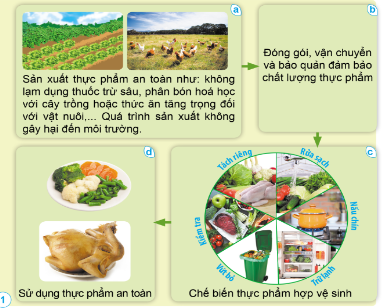 Quan sát: Nêu các công đoạn để có được thực phẩm an toàn cho người tiêu dùng theo gợi ý dưới đây.