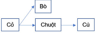 Hãy viết một chuỗi thức ăn thể hiện mối liên hệ giữa các sinh vật trong câu chuyện trên, chỉ ra mắt xích nào trong chuỗi thức ăn bị phá huỷ và hậu quả của nó.