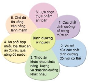 Trò chơi: “Hái hoa” Bắt thăm để chia sẻ về nội dung của một trong những cánh hoa dưới đây