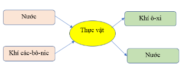 Hoàn thành sơ đồ quá trình quang hợp ở thực vật theo gợi ý sau: