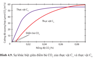 Quan sát hình 4.9 trang 30, so sánh nhu cầu CO2 giữa thực vât C3 và C4.