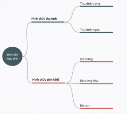Vẽ sơ đồ tư duy phân biệt các hình thức sinh sản hữu tính.