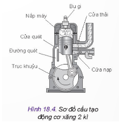 Quan sát Hình 18.4 và cho biết: