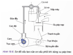 Quan sát Hình 19.6 và cho biết: Khi đũa đẩy chuyển động theo chiều đi lên (theo chiều mũi tên) thì xu páp và pít tông chuyển động theo chiều đi lên hay đi xuống