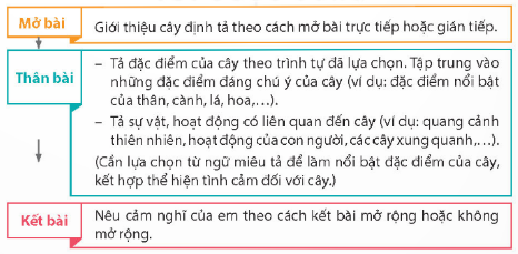  Lập dàn ý