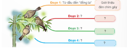 Đọc bài văn sau và thực hiện yêu cầu: