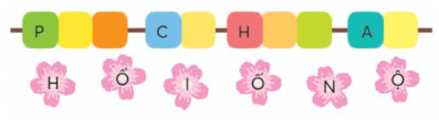 Xếp các bông hoa vào ô thích hợp để tạo thành từ ngữ.