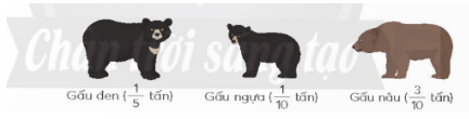 Trong các con gấu dưới đây, con gấu nào có khối lượng bằng tổng khối lượng của hai con gấu còn lại ?