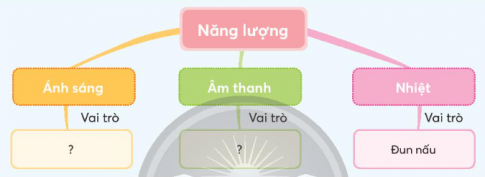 Giải siêu nhanh Khoa học 4 Chân trời bài 14: Ôn tập chủ đề năng lượng