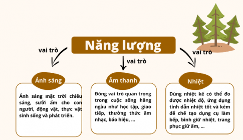 Giải siêu nhanh Khoa học 4 Chân trời bài 14: Ôn tập chủ đề năng lượng