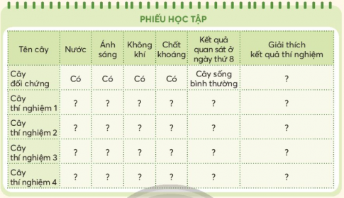 Giải siêu nhanh Khoa học 4 Chân trời bài 15: Thực vật cần gì để sống và phát triển?