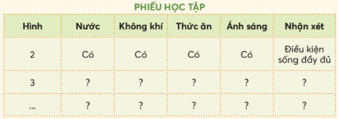 Giải siêu nhanh Khoa học 4 Chân trời bài 16: Nhu cầu sống của động vật