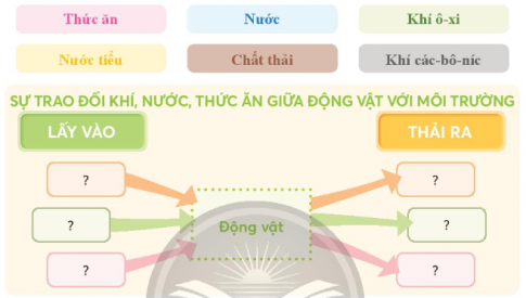 Giải siêu nhanh Khoa học 4 Chân trời bài 16: Nhu cầu sống của động vật