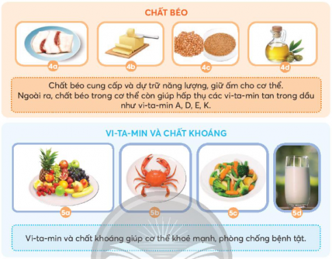 Giải siêu nhanh Khoa học 4 Chân trời bài 23: Các nhóm chất dinh dưỡng có trong thức ăn