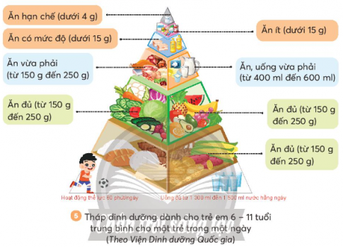 Giải siêu nhanh Khoa học 4 Chân trời bài 25: Ăn, uống khoa học để cơ thể khỏe mạnh