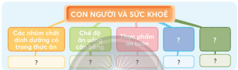 Giải siêu nhanh Khoa học 4 Chân trời bài 29: Ôn tập chủ đề Con người và sức khỏe