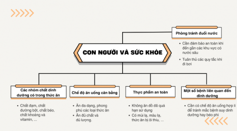 Giải siêu nhanh Khoa học 4 Chân trời bài 29: Ôn tập chủ đề Con người và sức khỏe