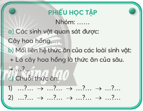 Giải siêu nhanh Khoa học 4 Chân trời bài 30: Chuỗi thức ăn trong tự nhiên