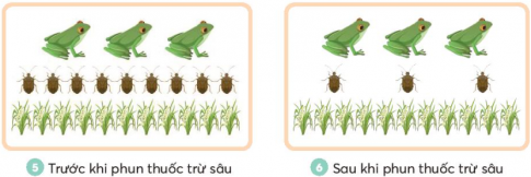 Giải siêu nhanh Khoa học 4 Chân trời bài 31 Vai trò của thực vật trong chuỗi thức ăn