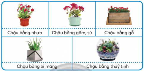 Giải siêu nhanh Công nghệ 4 Chân trời bài 2 Vật liệu, dụng cụ trồng hoa và cây cảnh trong chậu