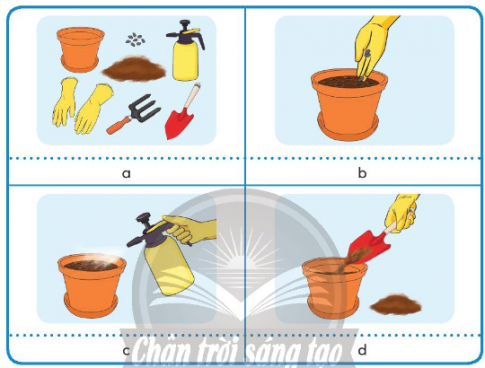 Giải siêu nhanh Công nghệ 4 Chân trời bài 3 Gieo hạt và trồng cây hoa trong chậu