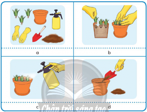 Giải siêu nhanh Công nghệ 4 Chân trời bài 4 Trồng cây cảnh trong chậu