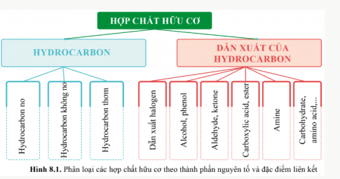 PHÂN LOẠI CÁC HỢP CHẤT HỮU CƠ 