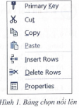  Primary Key, Cut, Copy, Insert Rows, Delete Rows.