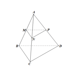 Cho tứ diện ABCD. Gọi M, N, P lần lượt là trung điểm của các cạnh AB, AC, AD. Các đường thẳng MN, NP, PM có song song với mặt phẳng (BCD) không? Vì sao? 