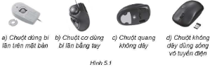 Các thiết bị trỏ rất quan trọng trong giao diện đồ họa. Người dùng sử dụng chuột để xác định điểm cần tương tác, còn gọi là con trỏ màn hình. Máy tính sử dụng tọa độ của con trỏ để biết đối tượng nào đang được trỏ. Người dùng có thể nháy, nháy đúp, kéo thả chuột,... máy tính sẽ hiểu được ý muốn của người dùng trong bối cảnh cụ thể