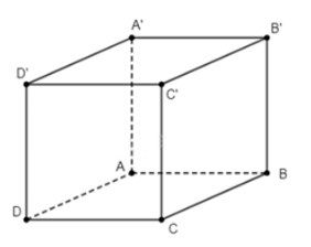 Bài 58 trang 119 SBT Toán 11 CD tập 2