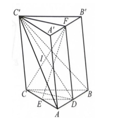 Cho hình lăng trụ tam giác ABC.A'B'C'. Gọi E, F lần lượt là trung điểm của các cạnh AC và A'B'.