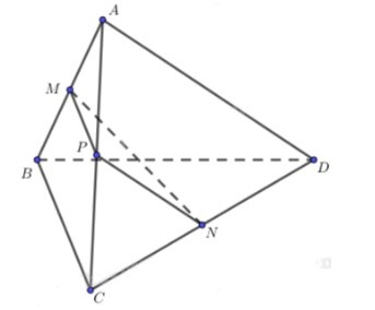 Bài 5 trang 89 SBT Toán 11 CD tập 2