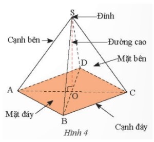 hình chóp tứ giác đều