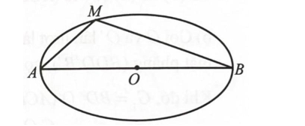 Vẽ hình biểu diễn của: a) Một tam giác vuông nội tiếp trong một đường tròn; b) Một lục giác đều. 