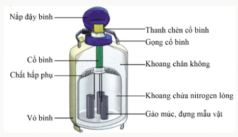 Trong lĩnh vực sinh học và y học, các mẫu vật sinh học được bảo quản trong bình nitrogen lỏng