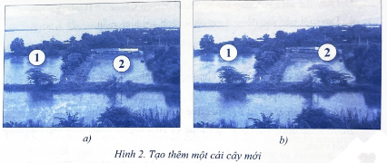 Hãy chọn một bức ảnh và bổ sung thêm một số chi tiết mới phù hợp dựa trên chi tiết đã có, nhằm làm cho nội dung bức ảnh phong phú, sinh động hơn. Ví dụ, trong ảnh ở Hình 2a tại vị trí 2, một cái cây được tạo mới, giống và to hơn một chút cái cây ở vị trí 1, kết quả nhận được như Hình 2b.