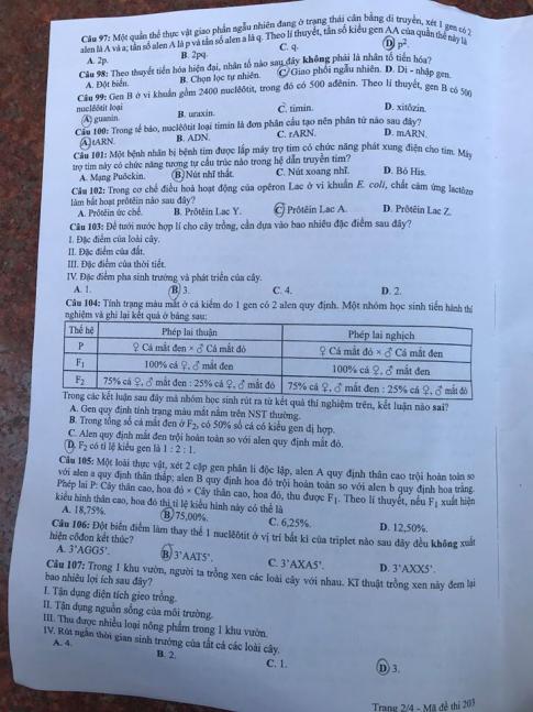 Thi THPQG 2020: Đề thi và đáp án môn Sinh học mã đề 203