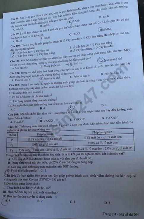 Thi THPQG 2020: Đề thi và đáp án môn Sinh học mã đề 204