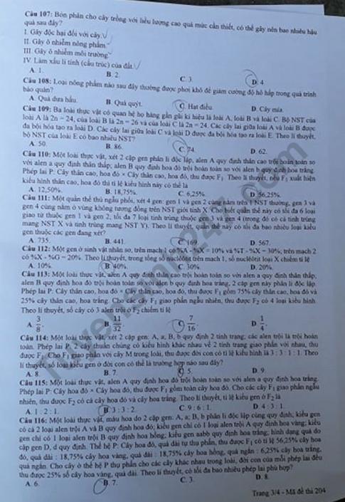 Thi THPQG 2020: Đề thi và đáp án môn Sinh học mã đề 204