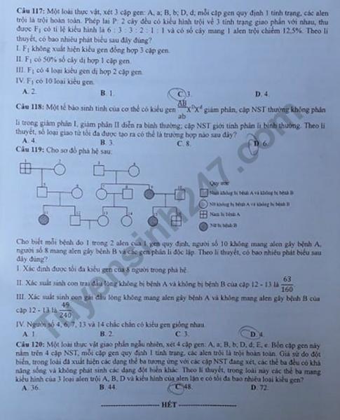 Thi THPQG 2020: Đề thi và đáp án môn Sinh học mã đề 204