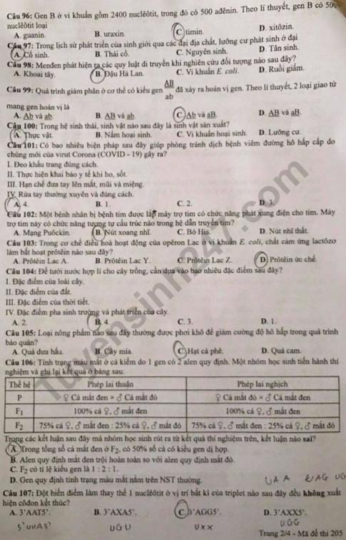 Thi THPQG 2020: Đề thi và đáp án môn Sinh học mã đề 205
