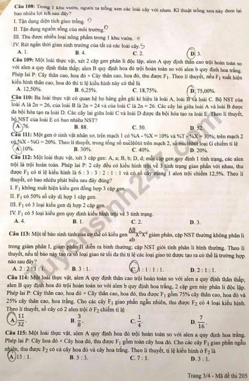Thi THPQG 2020: Đề thi và đáp án môn Sinh học mã đề 205