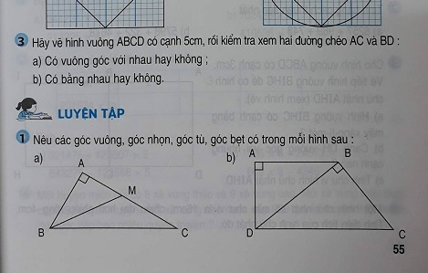 Giải bài Luyện tâp Toán lớp 4 trang 55